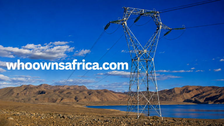 Africa’s Energy Sector Business Landscape: Utilities, IPPs, and Market Reform