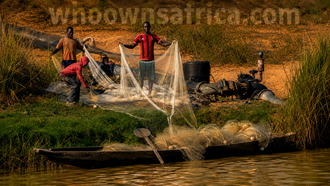 Understanding Africa's Debt-for-Climate Swaps