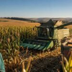 South Africa’s maize harvest forecast rises 4.5% to 17.4 million tonnes