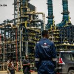 Who will own Dangote refinery after the IPO